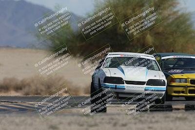 media/Oct-12-2025-Lucky Dog Racing (Sun) [[8adb5568ea]]/3-Third    Stint/4-Turn 4 (Tree of Life)/